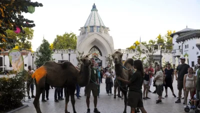 גן החיות של בודפשט