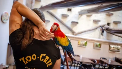 בית קפה עם חיות