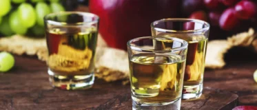 סיור קולינרי בודפשט טעימת פאליקנה